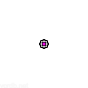 Flower 1