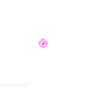 pink circle op