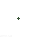 dynamicplus