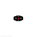 The eye