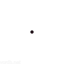 The Best Dot