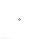 Blue Flower